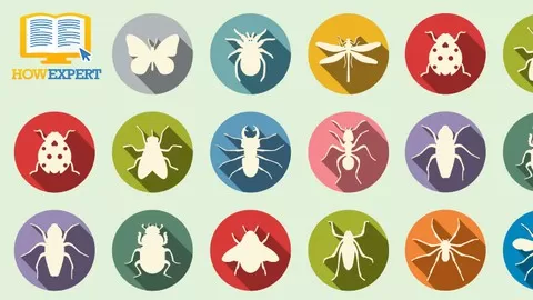 101 Most Interesting and Fascinating Insects in the World from A to Z