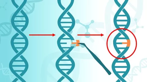 Learn about gene cloning and its application in curing inherited diseases and cancer.