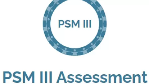 PSM 3 / PSM III