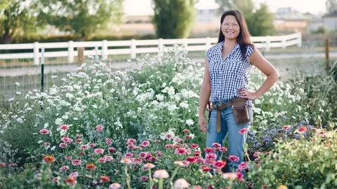 Roses can not only grow but thrive in Colorado and similar climates