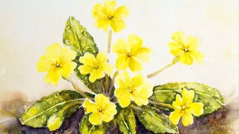 Step-by-step guidance and top tips to create your own beautiful flower art with watercolour; beginners