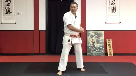 How to Perform the Second Kata of the Isshinryu Karate System