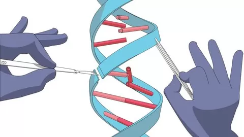 Basics and the fundamentals of the CRISPR/Cas9