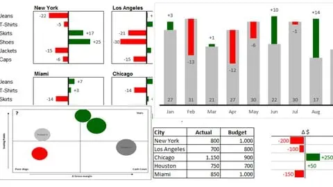 Create professional Business Charts in Excel