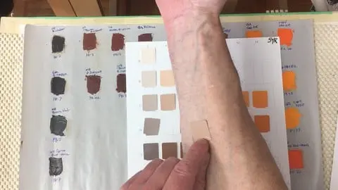 Simplifying the complexities of depicting human skin tones