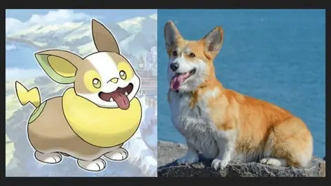 This class covers 20+ cat and dog breeds that inspired some of our favorite Pokemon from the famous anime series.