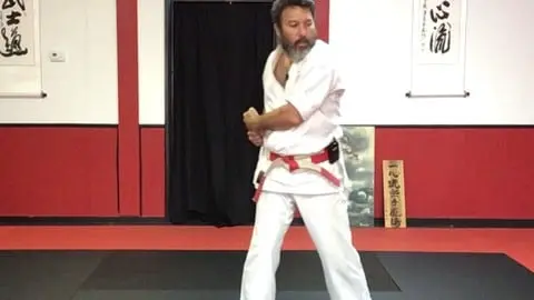 How to Perform the Third Kata of the Isshinryu Karate System