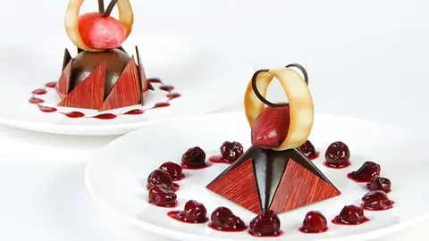 Create an endless variety of stunning and delicious mousse desserts in many shapes