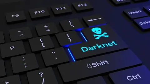 Deep Dive into the Deep and Dark Web