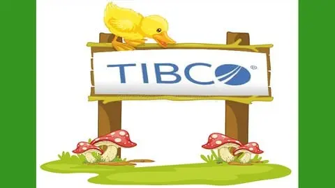 best practice Tests for TIBCO ActiveMatrix BusinessWorks Certification 2021