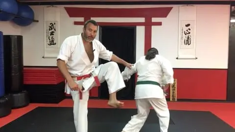 How to Perform the 5 Basic Snap Kicks of the Isshinryu Karate System