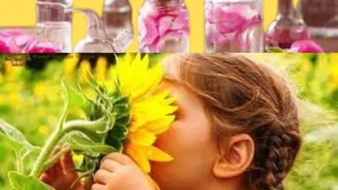 Quick reference guide to Bach's flower remedies and flower essences