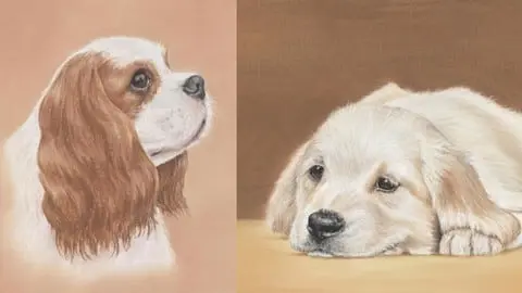 NO Free-Hand Drawing Required. Learn to 2 beautiful dogs using just 8 Pastel Pencils. Follow our Step by Step Videos.