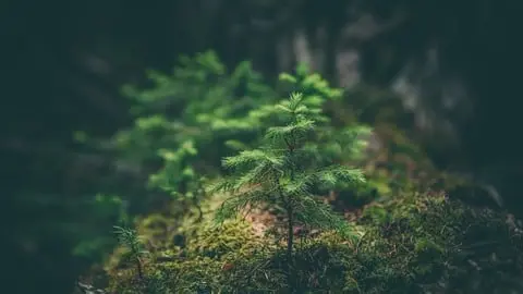 Explore the Impact of Industry 4.0 on Environmental Management