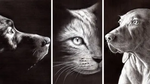 3 in 1 Bundle! NO Free-hand drawing required. Get STUNNING results with just 4 Pencils! Create AMAZING Pet Portraits.