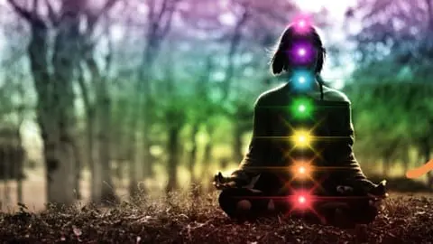 Learn about the 7 main chakras