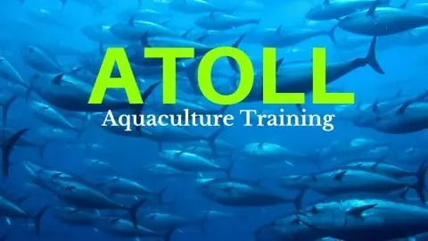 Get started growing healthy food by learning about aquaculture and aquaponics.