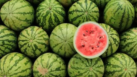 Online training on how to grow watermelon and run a profitable farm!