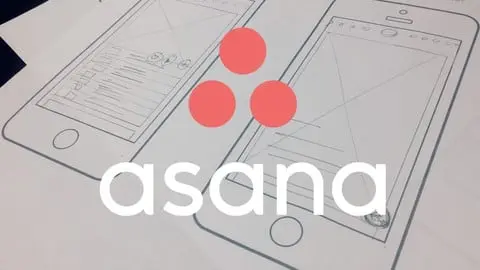 Learn  Everything You need in Asana  To Create different Project in Asana Like App
