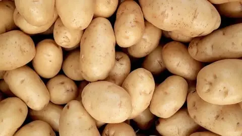 How to grow Irish Potatoes and run a profitable farm!