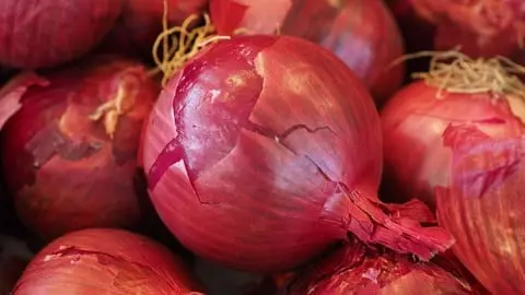 How to grow bulb onions and run a profitable farm!