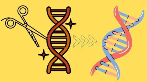 Question and Answer based learning of genome editing-CRISPR/Cas9