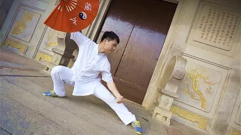 An online course with high level TaiChi master from China