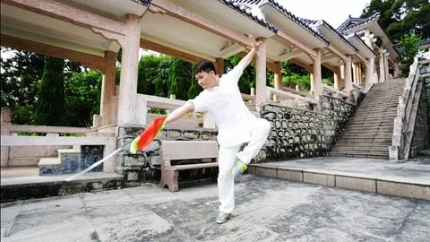 Learn the powerful martial arts form with high level TaiChi master from China